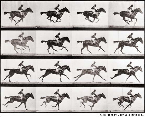 Táto séria dvanástich fotografií bola medzník v biológii, pretože ukázala, že kôň pri behu v istom momente nemá ani jednu nohu na zemi.
