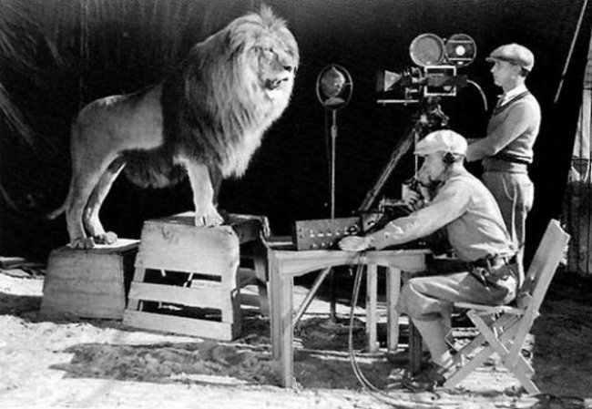 Kameraman nahráva rev leva na oficiálne logo MGM.