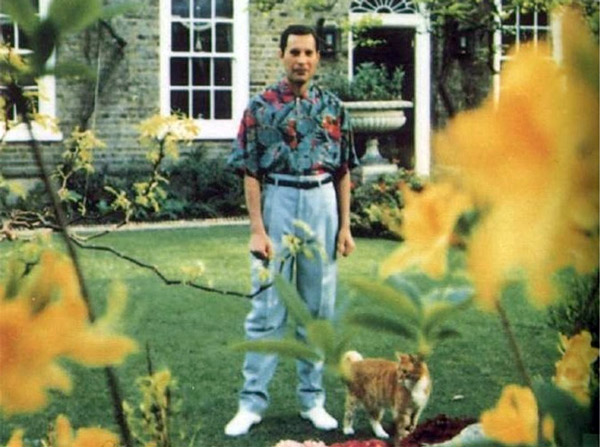 Freddie Mercury zomrel v roku 1981 na AIDS, takto vyzeral tesne pred koncom.