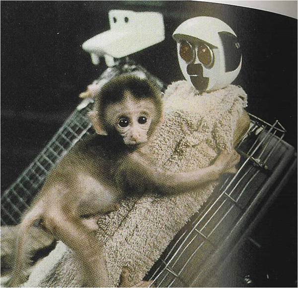 Na dvoch opiciach bol vykonaný experiment už od malička. Jedna opica mala matku a bola normálne vychovávaná u od mala. Tá druhá mala "robotickú" matku, ktorá jej dávala len mlieko. Experiment dokázal a ukázal ako je dôležité mať matku a zároveň to bol prv experiment ktorý niečo takéto skúmal.