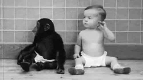 chimp-and-baby-001