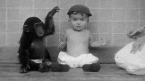 chimp-and-baby-008