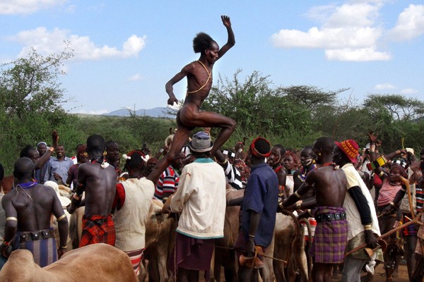  Toto je chlapík z Etiópskeho kmeňa Hamarov. Aby dokázal, že je skutočne pripravený stať sa mužom, stačí mu „iba“  poskákať po pätnástich kravách a býkov. Nahý. Ak sa mu to nepodarí, nikdy sa nesmie oženiť. Zvládli by ste to?
