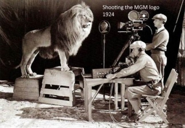 Natáčanie slávnej scény MGM Lion.