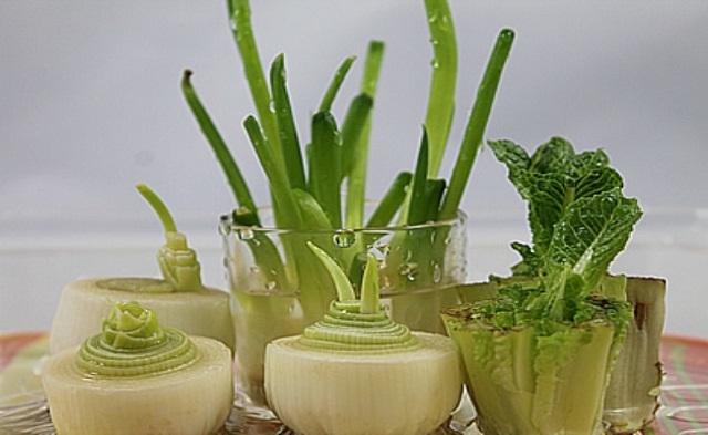 ako si doma vypestovat Leeks-Fennel-and-Green-Onions