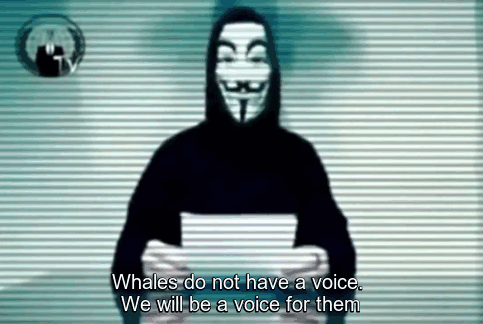 anonymous hekli islandsku vladu (6)