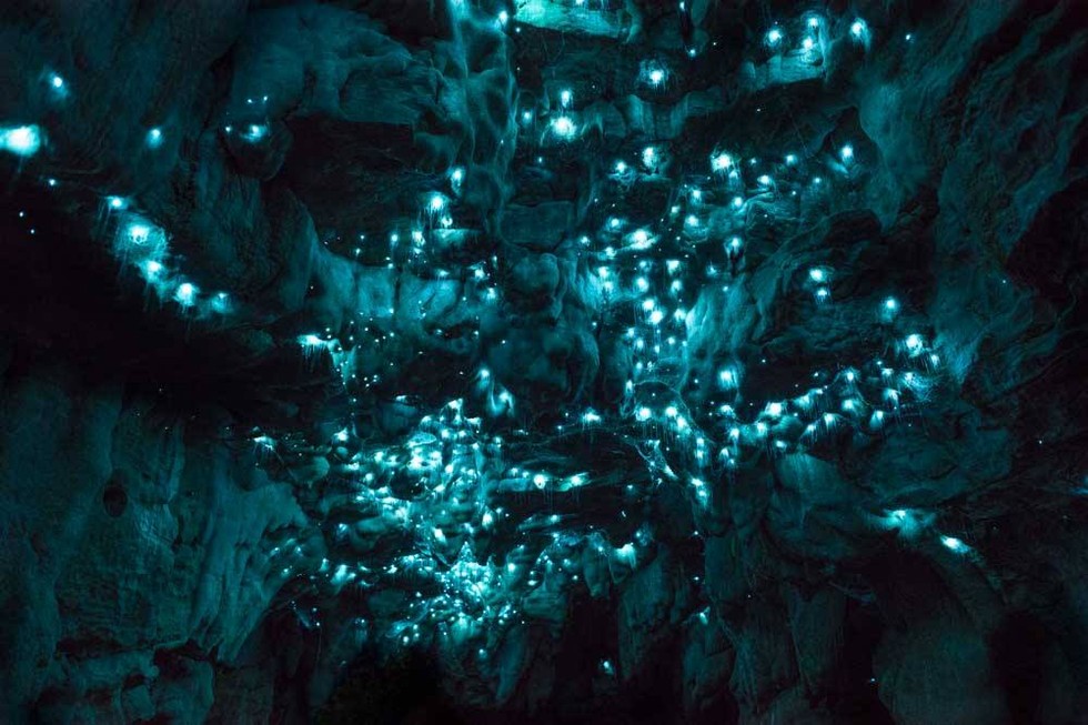 waitomo-jaskyna