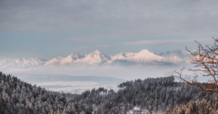 Pozri aj tento článok