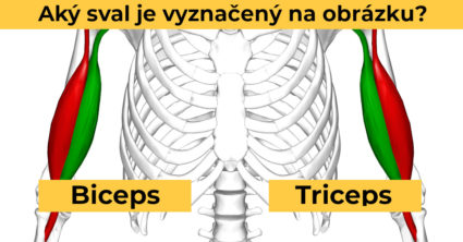 Pozri aj tento článok