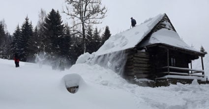 Pozri aj tento článok